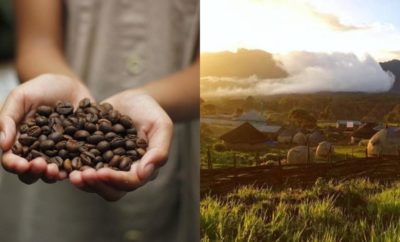 Menengok Desa Manyate Ethiopia, Tempat Ditemukannya Kopi Pertama Kali