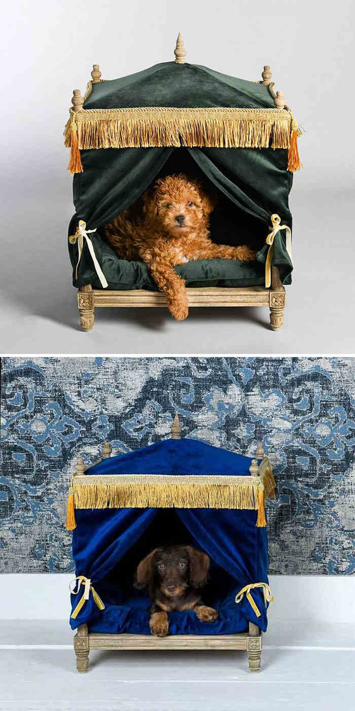 Bisa Beli Mobil, 10 Desain Tempat Tidur Termahal untuk Anjing