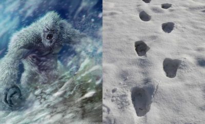 Menguak Misteri Yeti, Monster Salju Mirip Beruang di Pegunungan Himalaya