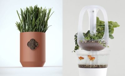 10 Desain Pemenang Desain Produk Eco-Friendly, Bikin Rumah Tetap Hijau