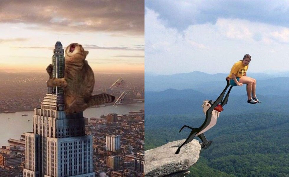 10 Editan Foto yang Bikin Ngakak, Kucing Jadi Ikon King Kong | Dailysia
