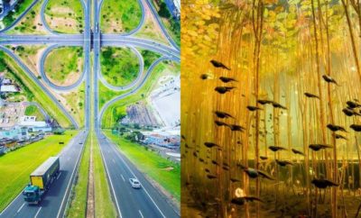 Gak Diedit, 10 Potret Seperti Berada di Dunia Fantasi