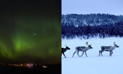 10 Pemandangan Unik yang Akan Dialami Saat Tinggal di Finlandia