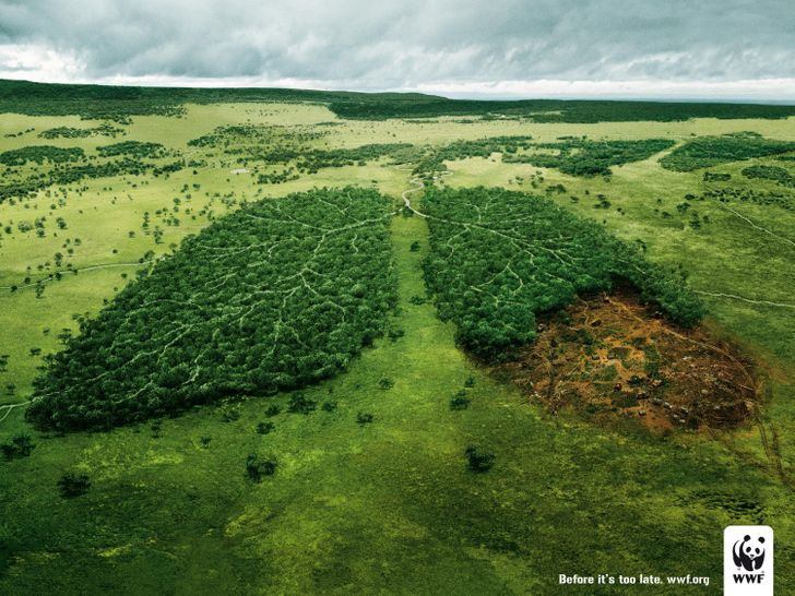 10 Iklan Kampanye Lingkungan yang Menyentuh Hati