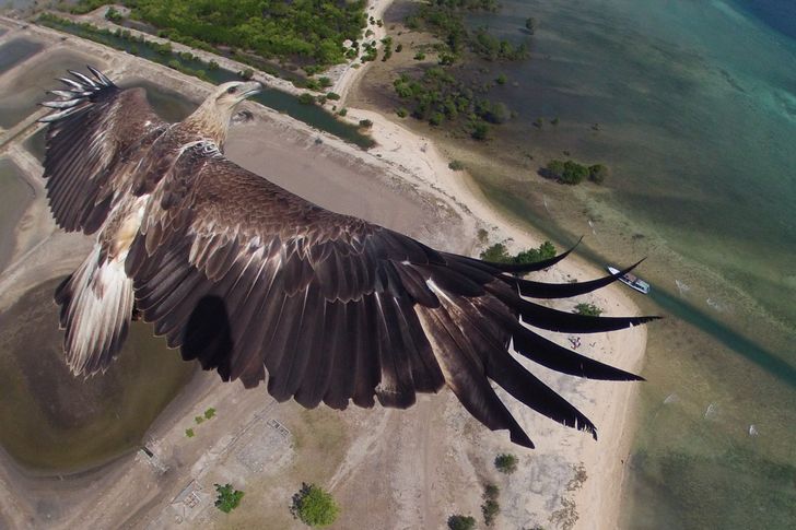 10 Foto Menakjubkan Dilihat dari Kacamata Burung