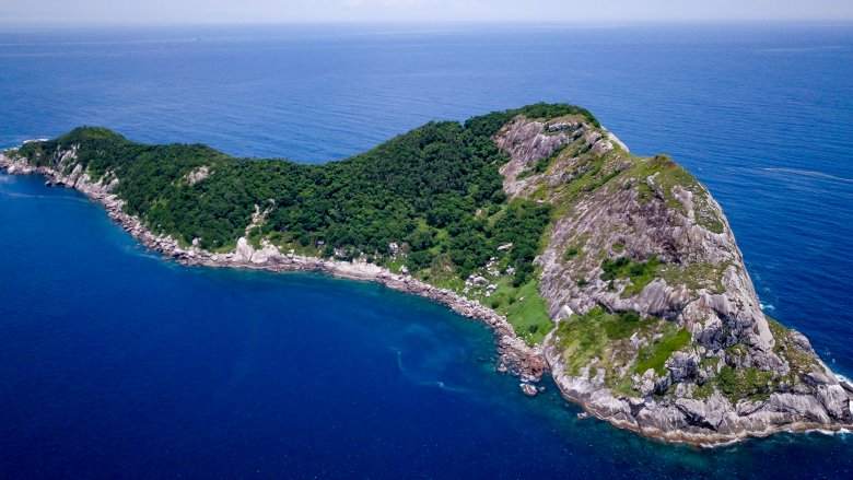 Ilha da Queimada Grande, Pulau Ular di Brasil yang Tidak Boleh Dimasuki Manusia