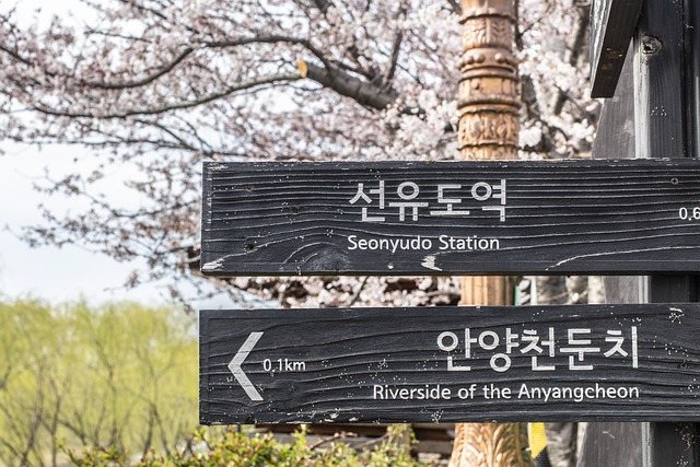 Semua Pasti Bisa, 10 Tips Belajar Bahasa Korea dengan Mudah