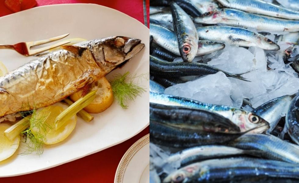 10 Fakta Ikan Kembung, Mulai dari Manfaat dan Kandungannya