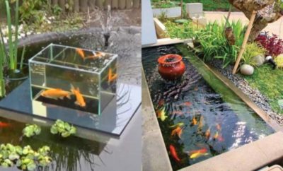10 Ide Desain Kolam Ikan Koi yang Cocok untuk Indoor Maupun Outdoor