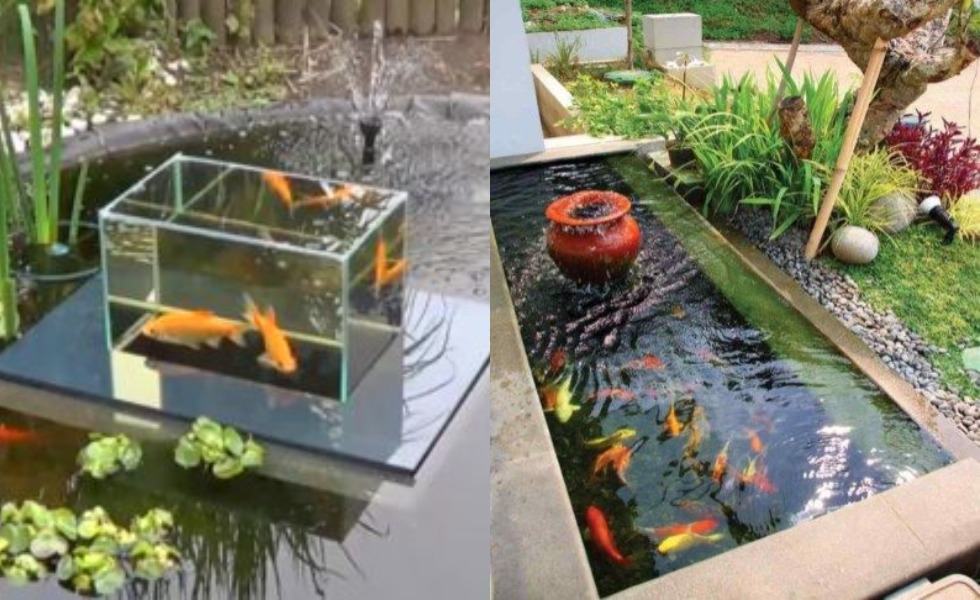 Minimalis, 10 Ide Desain Kolam Ikan Koi Indoor Maupun Outdoor, - Dailysia