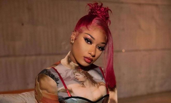 Biodata, Profil, Fakta Menarik Megan Thee Stallion