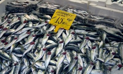 10 Fakta Ikan Kembung, Mulai dari Manfaat dan Kandungannya