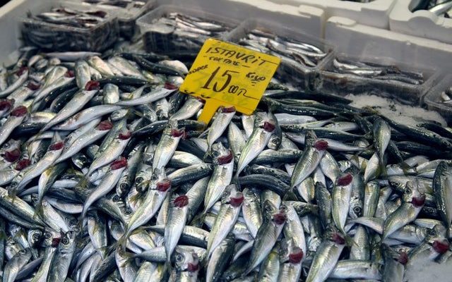 10 Fakta Ikan Kembung, Mulai dari Manfaat dan Kandungannya