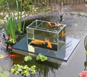 kolam koi 10 - Minimalis, 10 Ide Desain Kolam Ikan Koi Indoor Maupun Outdoor,