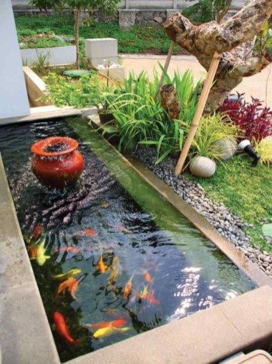 10 Ide Desain Kolam Ikan Koi yang Cocok untuk Indoor Maupun Outdoor