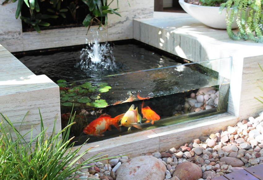 kolam koi 4 - Minimalis, 10 Ide Desain Kolam Ikan Koi Indoor Maupun Outdoor,