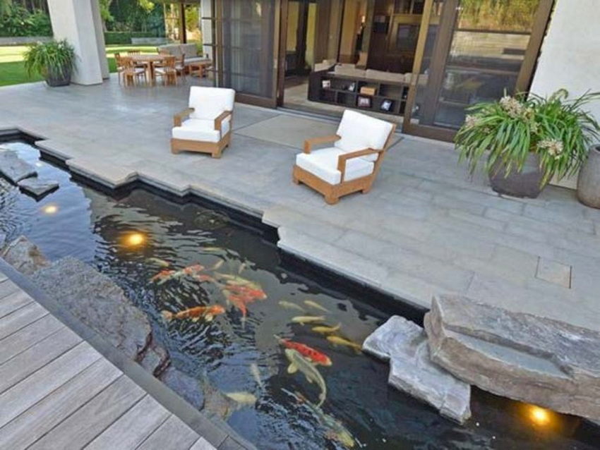 10 Ide Desain Kolam Ikan Koi yang Cocok untuk Indoor dan Outdoor