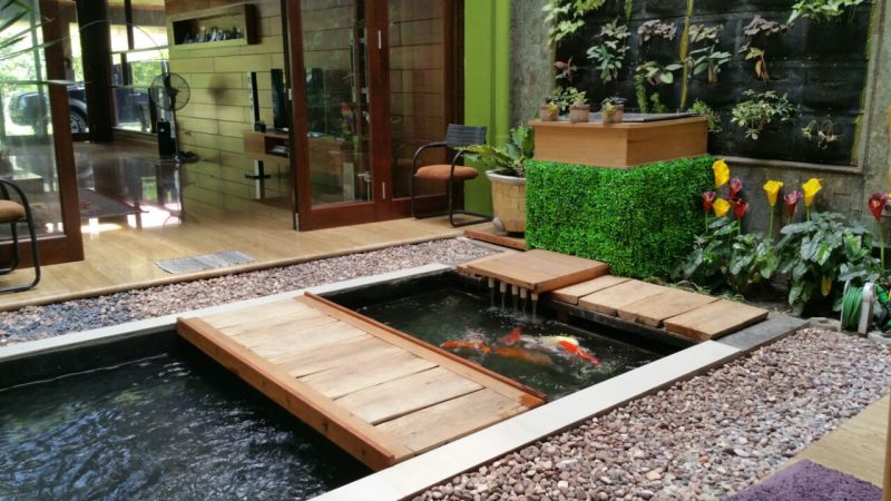 10 Ide Desain Kolam Ikan Koi yang Cocok untuk Indoor dan Outdoor