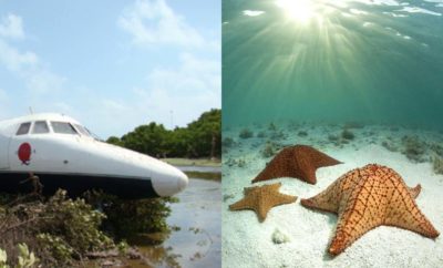 Menelusuri Los Roques, Perairan Terindah di Venezuela yang Disebut Mirip Segitiga Bermuda