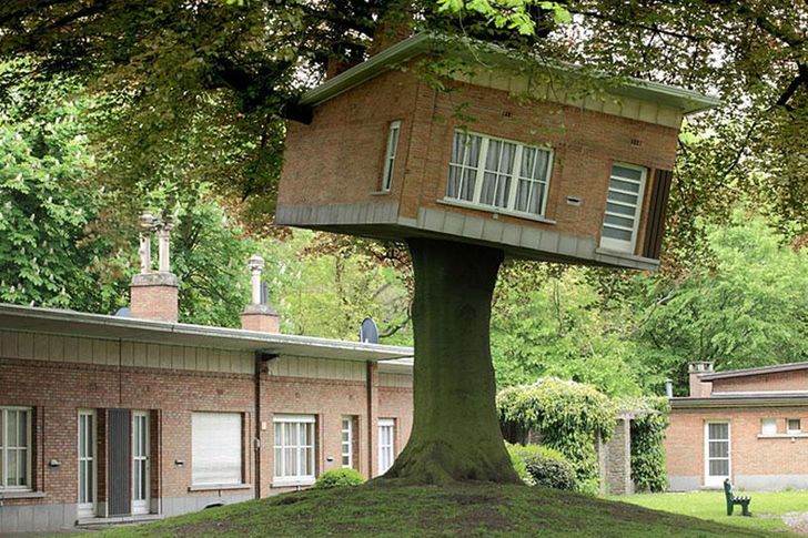 Ada yang Bertingkat, 10 Kreasi Rumah Pohon Keren yang Pernah Kamu Lihat