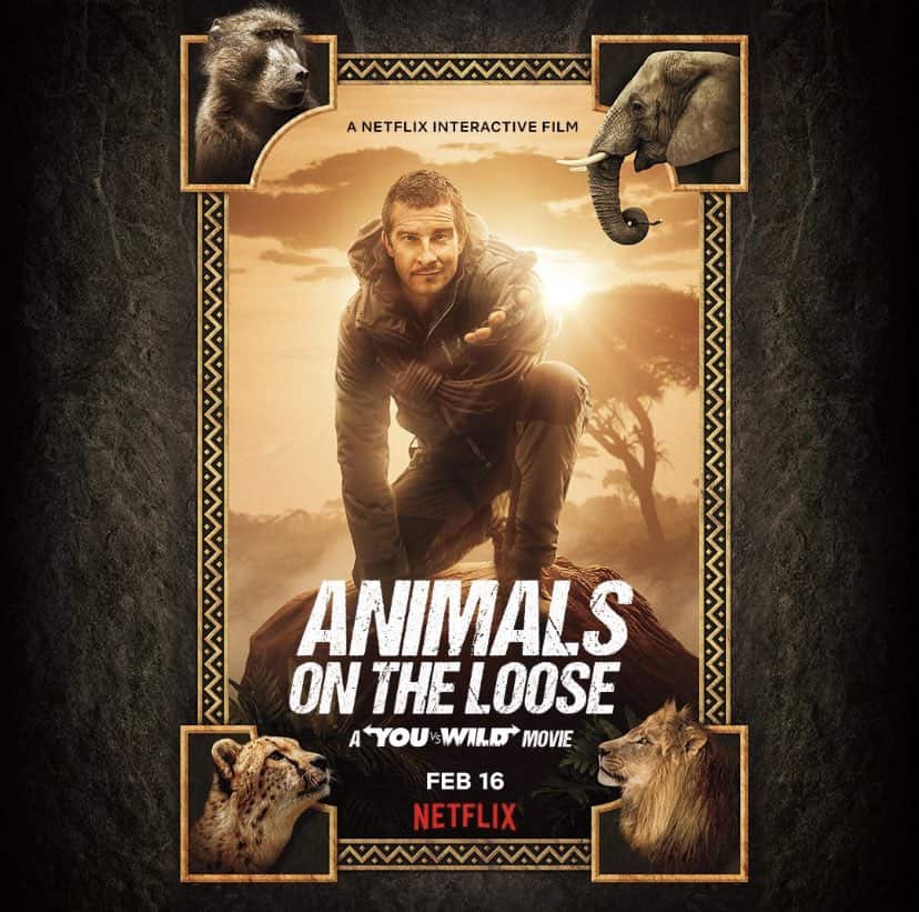 Sinopsis Animals on the Loose: A You vs. Wild Movie, Misi Penangkapan Satwa Liar yang Menegangkan