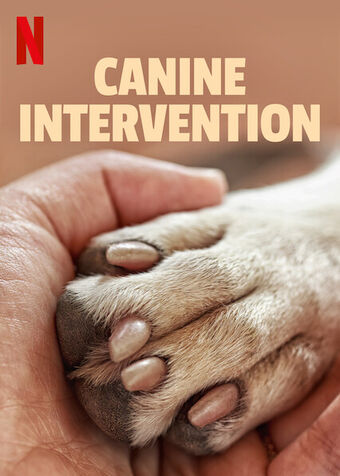 Sinopsis Canine Intervention, Reality Series Tampilkan Aksi Pelatihan Anjing