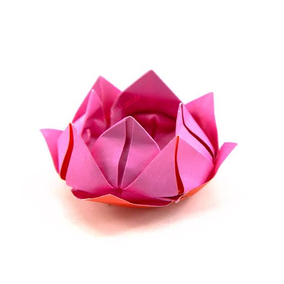 Dekoratif Unik, 10 Bunga Kertas Origami dengan Berbagai Bentuk