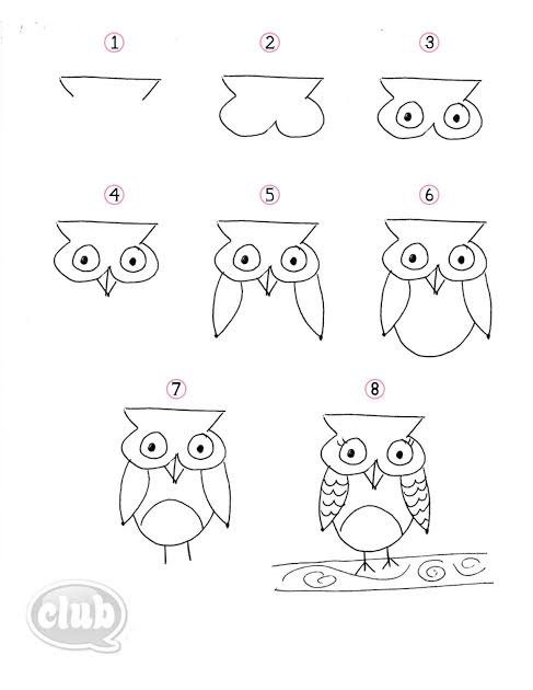 10 Cara Menggambar Burung Hantu dengan Berbagai Versi