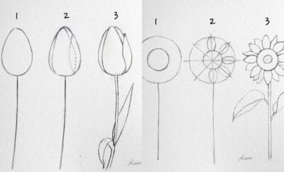 10 Cara Menggambar Bunga, dari Kuncup Hingga Mekar