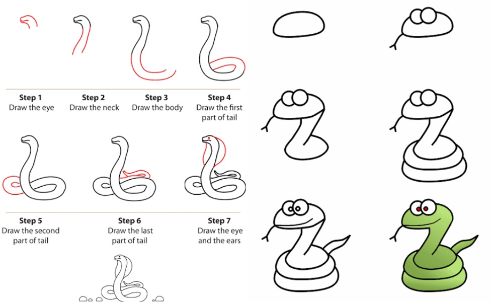 10 Cara Menggambar Ular, Gak Cuma Dimulai Dari Bentuk S - Dailysia