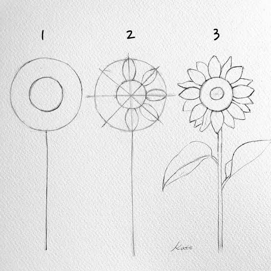 10 Cara Menggambar Bunga, dari Kuncup Hingga Mekar