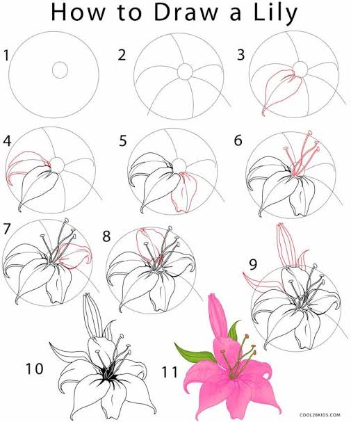 10 Cara Menggambar Bunga, dari Kuncup Hingga Mekar