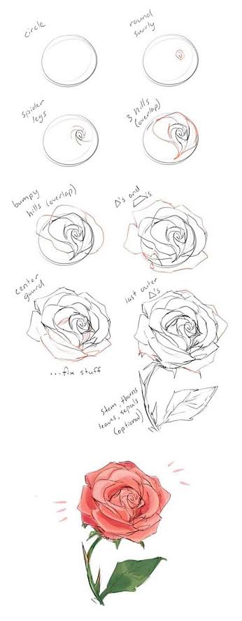 10 Cara Menggambar Bunga, dari Kuncup Hingga Mekar