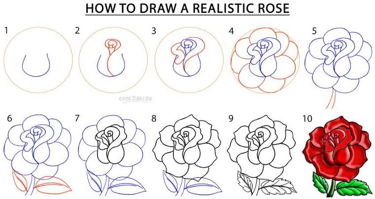 10 draw rose Ada yang Dimulai dari Bentuk Love