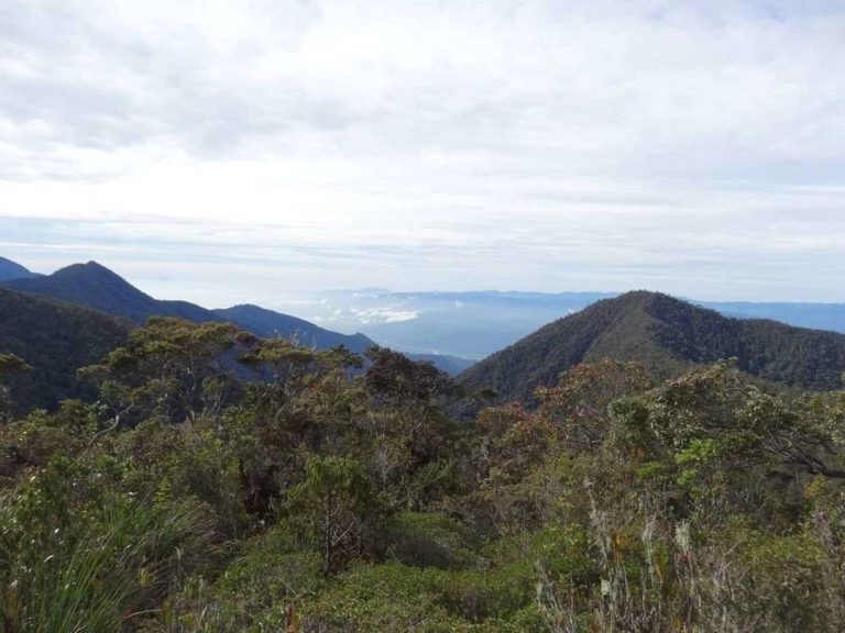 5 Gunung Tertinggi di Sumatera, Kerinci Jadi yang Paling Tinggi - Dailysia