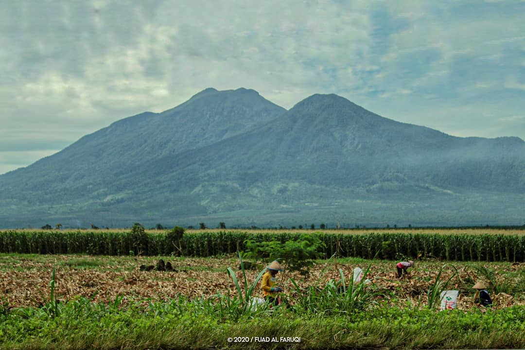 5 Gunung Tertinggi di Sumatera, Kerinci Tertinggi