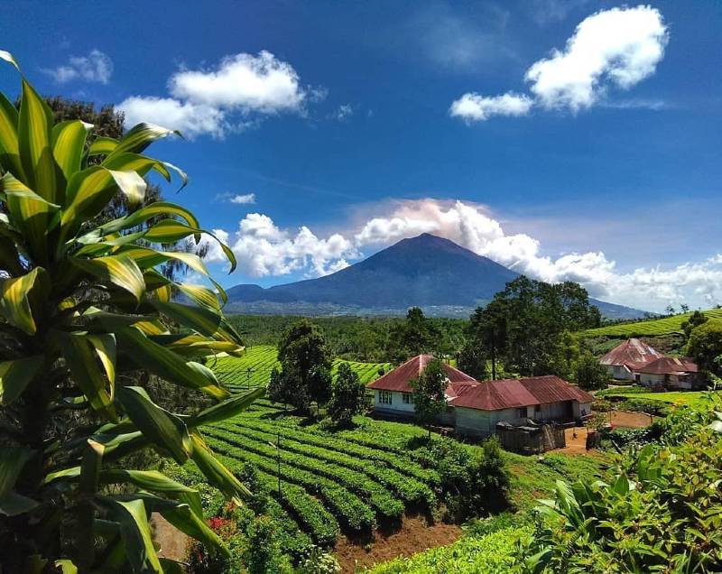 5 Gunung Tertinggi di Sumatera, Kerinci Tertinggi