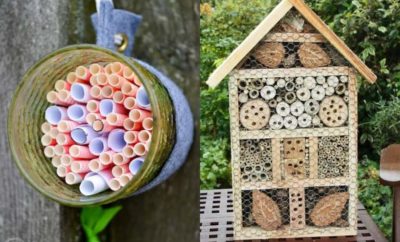 10 Desain Rumah Lebah yang Bisa Dibuat Sendiri, Bisa jadi Peternak