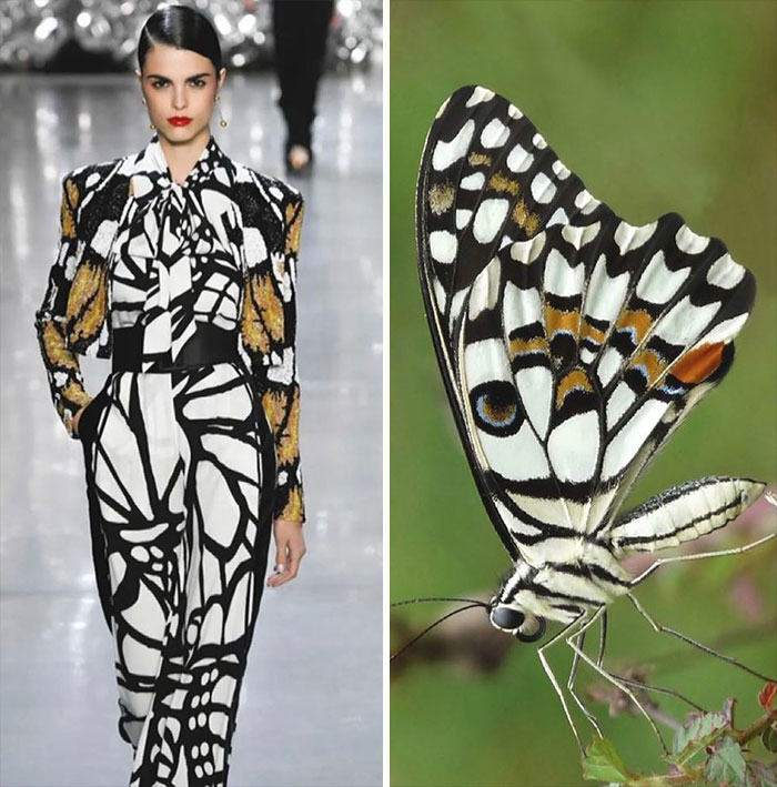 10 Fashion Unik yang Terinspirasi dari Alam, Ada Jamur hingga Kupu-Kupu