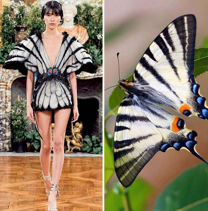 10 Fashion Unik yang Terinspirasi dari Alam, Ada Jamur hingga Kupu-Kupu
