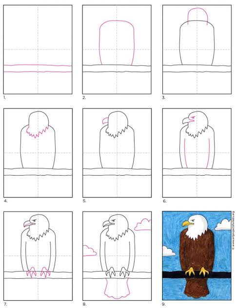 10 Cara Menggambar Elang, Pose Diam hingga Terbang - Dailysia