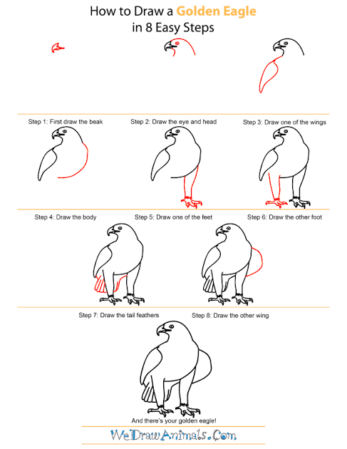 Menggambar burung bisa dimulai lengkungan demi lengkungan, hanya dengan 8 langkah bisa terbentuk bak nyata 