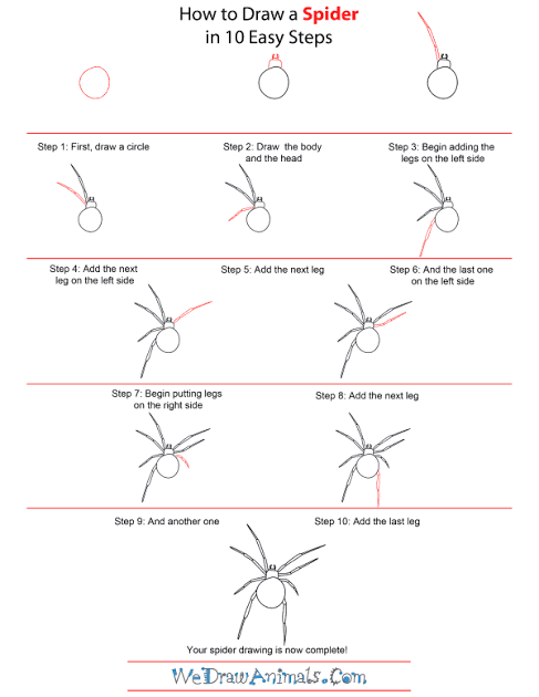 10 Cara Menggambar Laba-Laba, Bentuk Kartunnya Lucu Banget