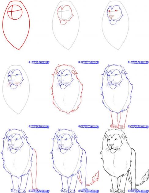 10 Cara Menggambar Singa Mulai Kepala hingga Badan