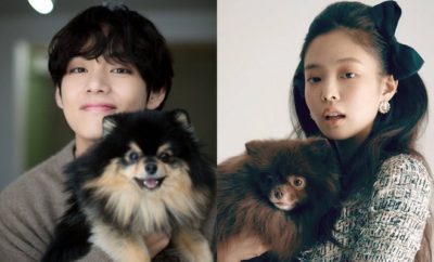 Gemas Banget, Intip Potret Uwu 10 Idol K-Pop Bareng Anjing Kesayangan