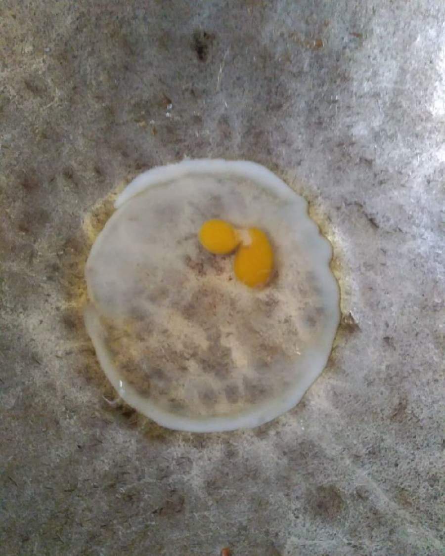 10 Cara Paling Nyeleneh Memasak Telur, Bikin Tepuk Jidat