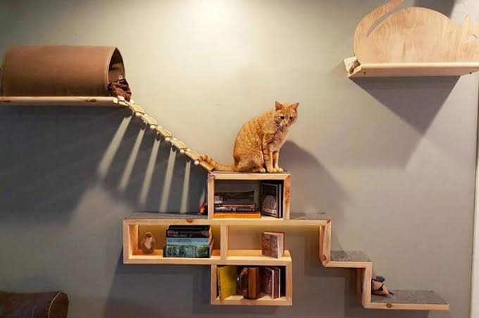 10 Desain Pohon Kucing DIY, Bebas Pilih Berapa Levelnya
