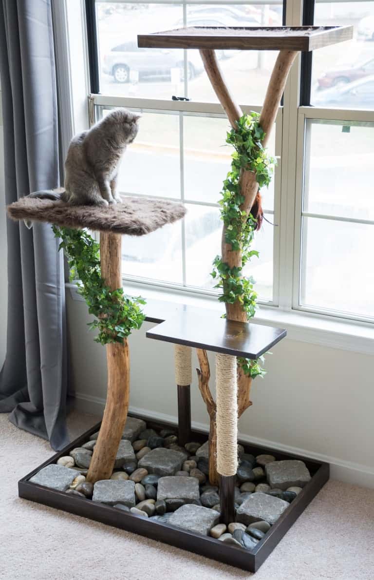 10 Desain Pohon Kucing DIY, Bebas Pilih Berapa Levelnya