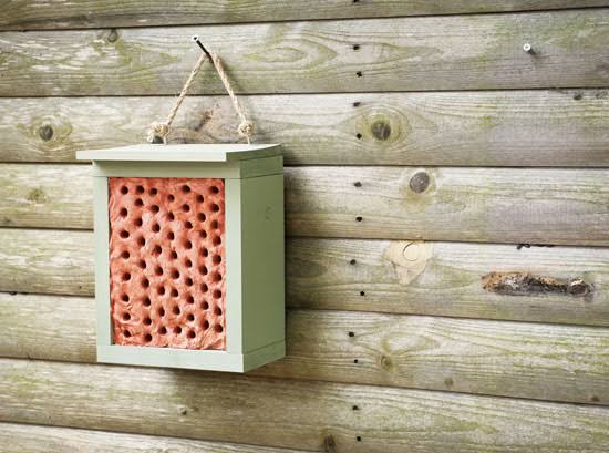 10 Desain Rumah Lebah yang Bisa Dibuat Sendiri, Bisa jadi Peternak