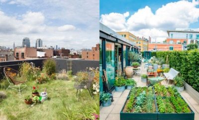 Adem dan Asri, 10 Ide Desain Taman di Atap Rumah